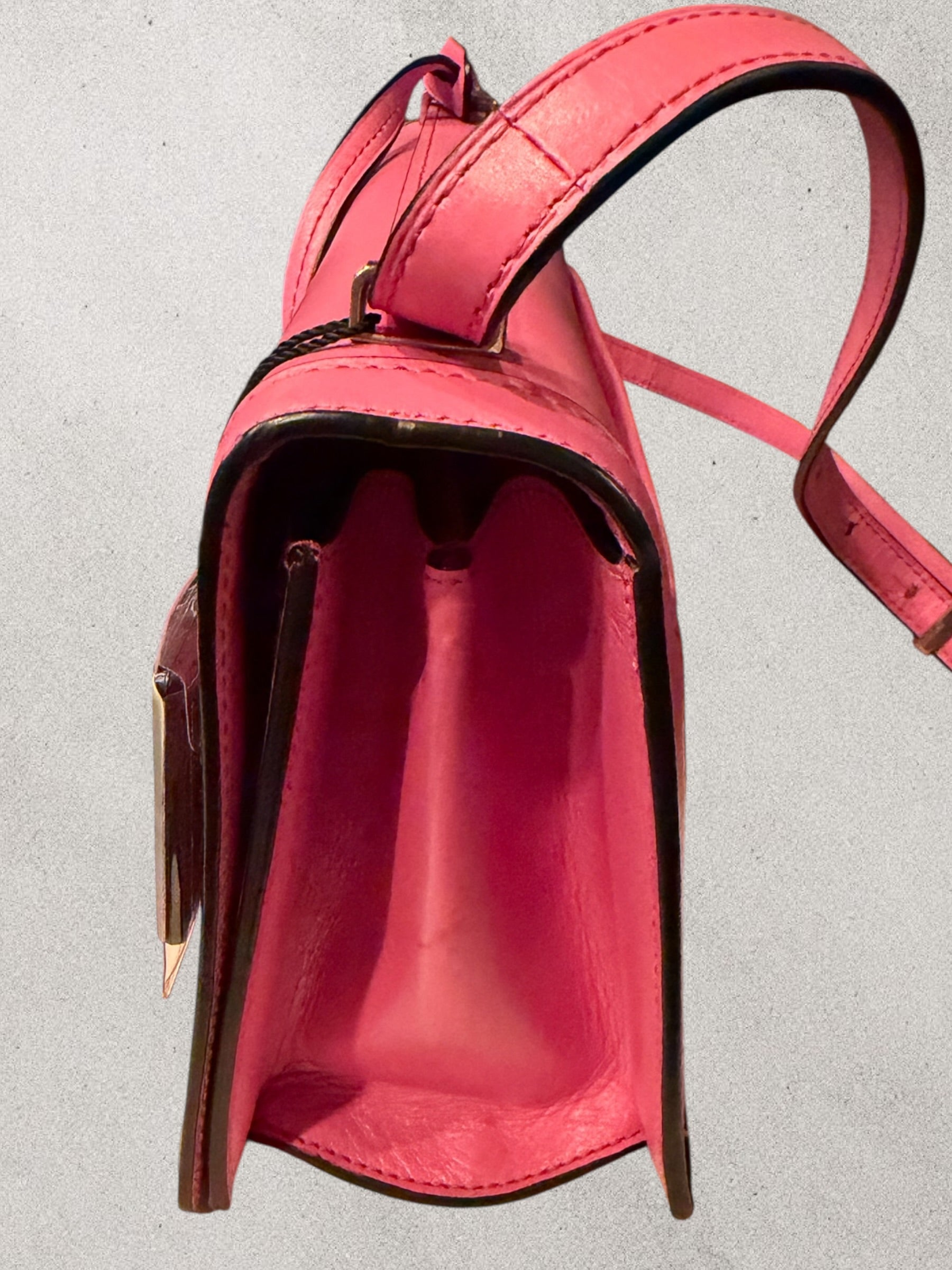 Pink Leather Cross Body | Loewe | Barcelona | COA Included | Pre-Owned