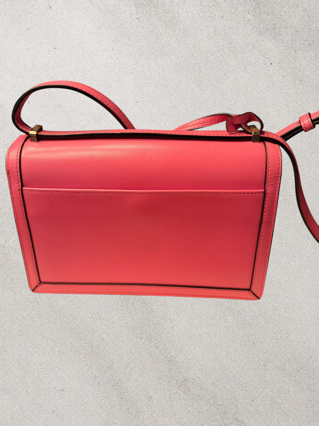 Pink Leather Cross Body | Loewe | Barcelona | COA Included | Pre-Owned
